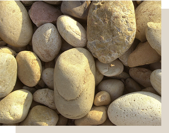 Accueil | La Mitrale - Ecrin d'excellence des vins de Châteauneuf-du-Pape